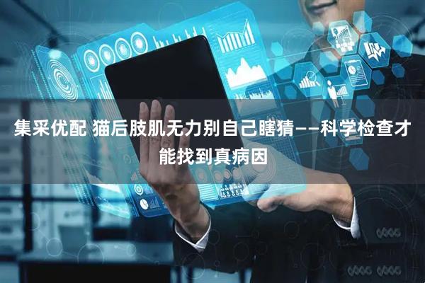 集采优配 猫后肢肌无力别自己瞎猜——科学检查才能找到真病因