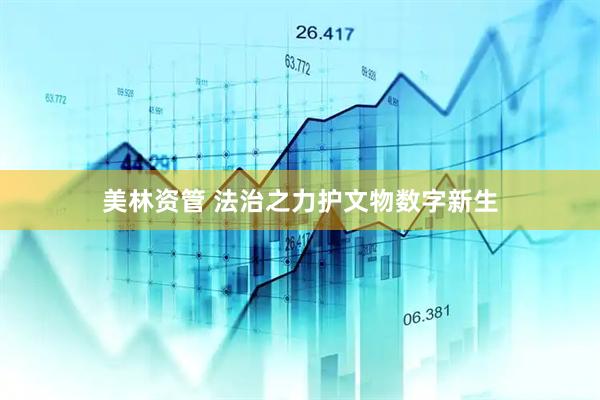 美林资管 法治之力护文物数字新生